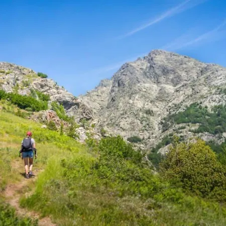 Tres Beau T2 Neuf Hyper Centre 4 Personnes Calme Et Lumineux Wifi Lave Linge * Корт