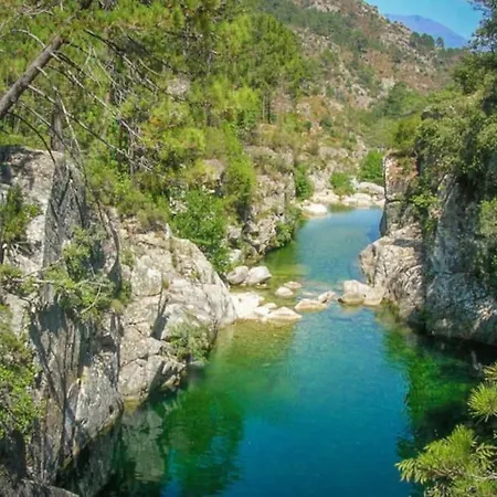 Tres Beau T2 Neuf Hyper Centre 4 Personnes Calme Et Lumineux Wifi Lave Linge Corte (Corsica)