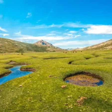 Tres Beau T2 Neuf Hyper Centre 4 Personnes Calme Et Lumineux Wifi Lave Linge Apartament *