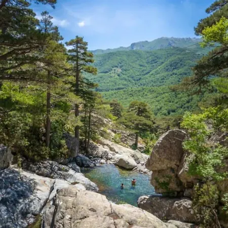 Tres Beau T2 Neuf Hyper Centre 4 Personnes Calme Et Lumineux Wifi Lave Linge *