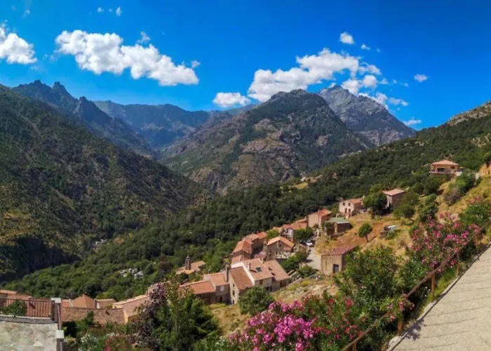 Tres Beau T2 Neuf Hyper Centre 4 Personnes Calme Et Lumineux Wifi Lave Linge