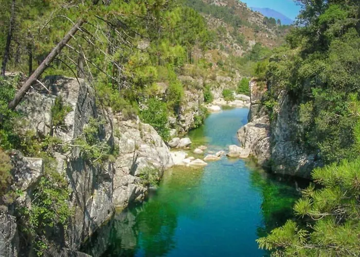 Tres Beau T2 Neuf Hyper Centre 4 Personnes Calme Et Lumineux Wifi Lave Linge Corte (Corsica)