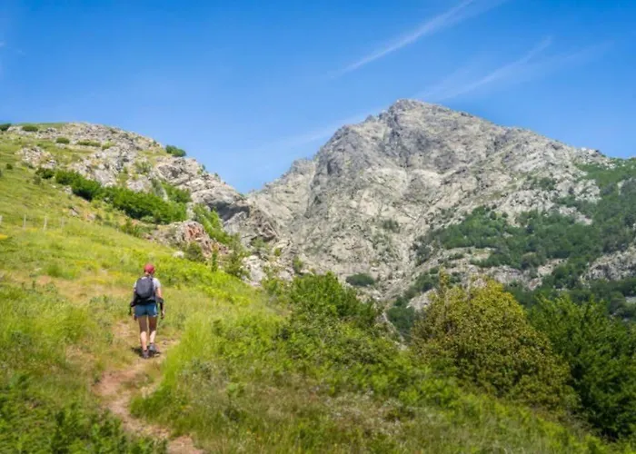 Tres Beau T2 Neuf Hyper Centre 4 Personnes Calme Et Lumineux Wifi Lave Linge * Corte (Corsica)