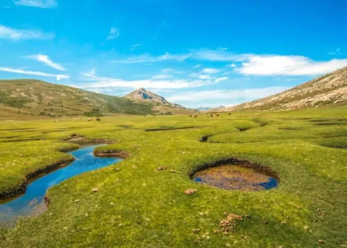 Tres Beau T2 Neuf Hyper Centre 4 Personnes Calme Et Lumineux Wifi Lave Linge Apartment *