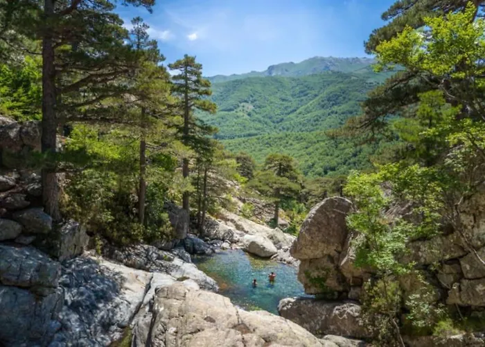 Tres Beau T2 Neuf Hyper Centre 4 Personnes Calme Et Lumineux Wifi Lave Linge *