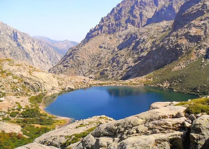 Tres Beau T2 Neuf Hyper Centre 4 Personnes Calme Et Lumineux Wifi Lave Linge *