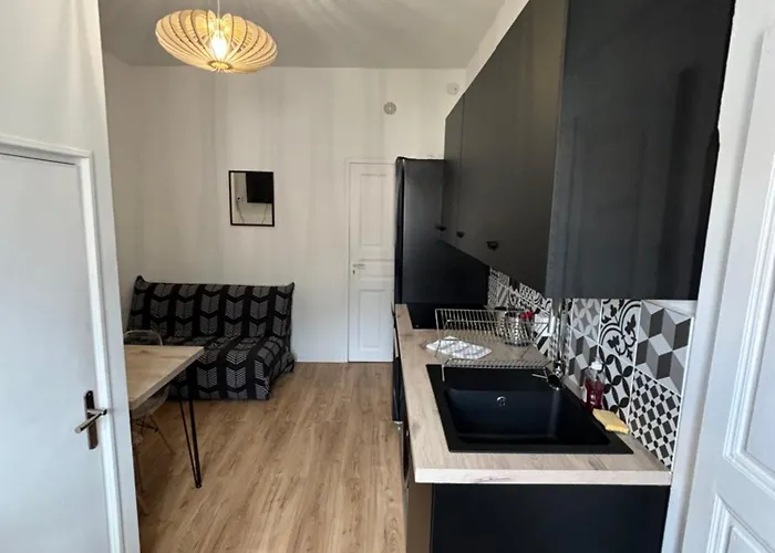 Apartment Tres Beau T2 Neuf Hyper Centre 4 Personnes Calme Et Lumineux Wifi Lave Linge